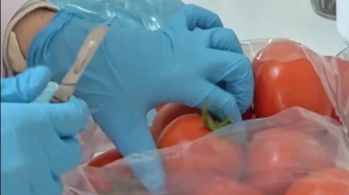 ŞOK Marketler pestisit analizli domates satışına başladı