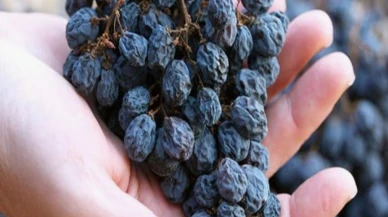 Üzümümüz İngiltere'de manşet oldu.. Ama tarım zehri nedeniyle!