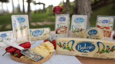 Tağşiş listesinden ünlü firma çıktı! Sütün yağını almışlar..