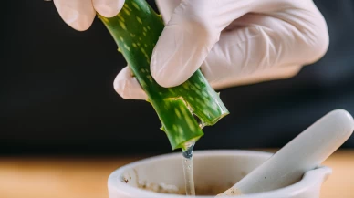 Laboratuvarda et devrimi: Aloe Vera ile daha lezzetli ve ekonomik üretim!
