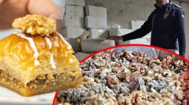Ünlü baklavacının deposunda tonlarca küflü ve kurtlu ceviz