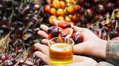 Bakanlıktan 'Hurma yağı' yasağı!