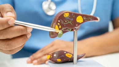 Defne yaprağı karaciğer dostu çıktı: NAFLD tedavisinde doğal umut