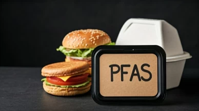 PFAS’sız grafen oksit kaplama ile gıda ambalajında yeni dönem