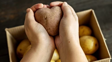 Patates kilo verdirir mi? Yeni araştırma tabağınıza yeniden bakmanıza sebep olabilir