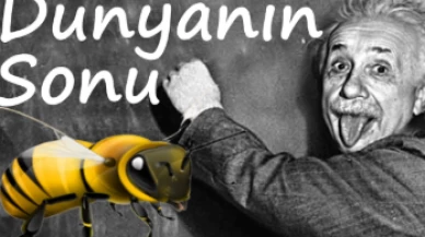 Dünya Arı Günü.. Einsetin arı teorisi hurafe mi gerçek mi?