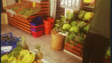 Meyve lükse dönüştü; Kiraz 700, Erik 300 TL