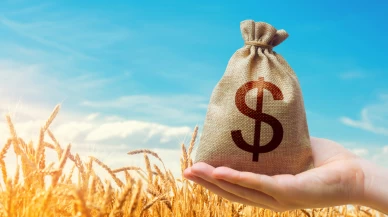 Tarım, gıda ve içecek sektöründen ilk 4 ayda 9,22 milyar dolarlık ihracat