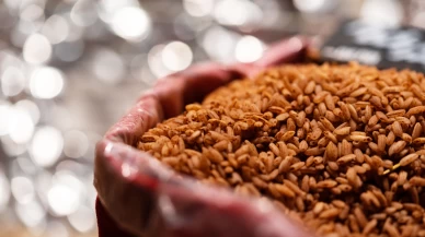 Kahverengi pirinç, yumurta ve deniz ürünleri uyarısı: PFAS kalıntıları hâlâ tabağımızda