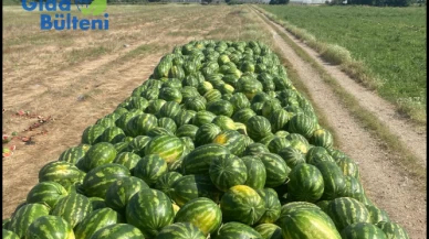 Yok böyle bir fiyat farkı.. Meyve sebze tarlada ne kadar tezgahta ne kadar?