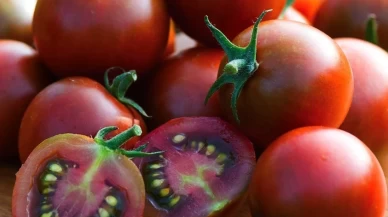 Avrupa’ya gönderilen cherry domateslerde yasaklı pestisit şoku