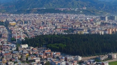 Aydın sahte zeytinyağının merkezi.. Ankara tağşiş listesine yükselişte