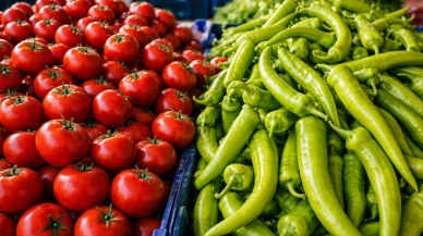 Avrupa sınırından en çok, zehirli biber geri döndü