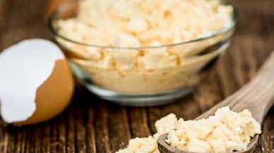 Çorum'a 20 milyon euroluk toz yumurta tesisi