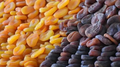 Fransa pestisit kalıntılı üzüm, kayısı ve kirazı ithal etmeyecek