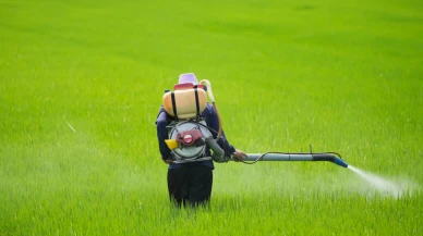 Yasaklı pestisitleri ülkelerinde kullanmıyorlar ama satıyorlar!
