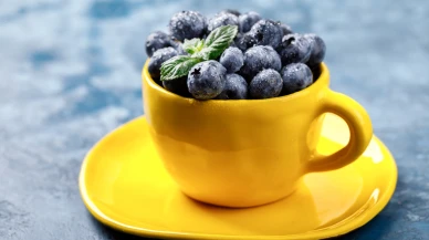 Günde 1 fincan yaban mersini kalp ve bağırsakları koruyor