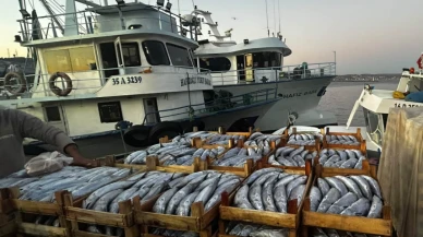 Palamut etin tahtını sarstı; Tanesi 40 TL'ye düştü, vatandaş limana akın etti