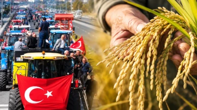 Çeltik alım fiyatı belli oldu; Üretici 55 TL istemişti TMO daha düşük fiyat açıkladı