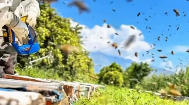 Arıcılığa başlayan gençlere hibe desteği; 774 bin TL hibeyle 260 kovan aldı