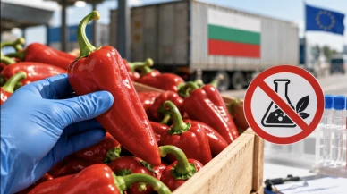 Türkiye’den Bulgaristan’a gönderilen biberler sınırda imha edildi: 3 pestisit kalıntısı tespit edildi