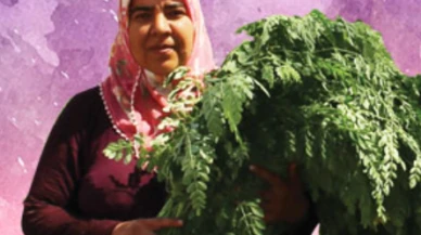 Türkiye'nin moringa üreticisi dünyanın 100 kadın kahramanı arasında!