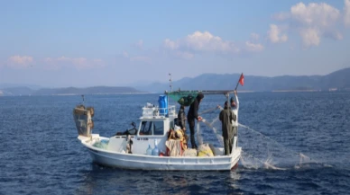 Balıkçılık desteği başvuruları başladı; Destekleme rakamları belirlendi!