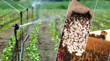 Tarım desteği için icmal itirazlarına dikkat