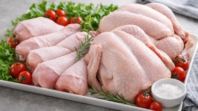 Tavukçular zam yapınca bakanlık ihracata yasak getirdi