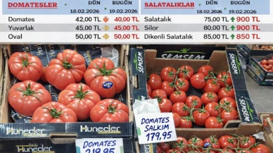 Domates; Halde 40 lira manavda 220 lira
