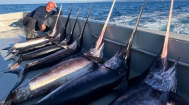 Balık stokları tükendi: “Balığın sonu” alarmı