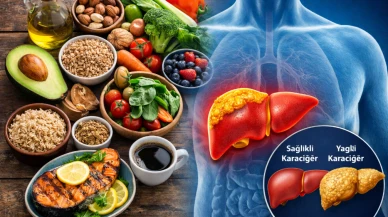 Sağlıklı bir karaciğeriniz olsun istiyorsanız bu gıdalarla beslenin