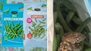 Dondurulmuş fasulyelerde fare skandalı; Fasulyeler toplatılıyor