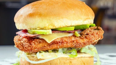 “Vejetaryen burger” yasaklanıyor mu?