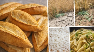 Eyvah ekmekte kanserojen kadmiyum! Başka hangi gıdalardan geçiyor?