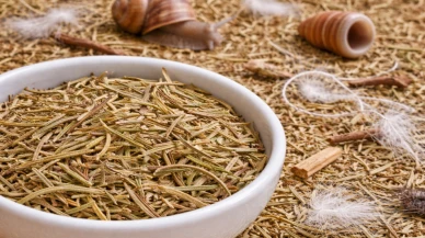 Baharat diye sümüklü böcek yediriyorlarmış