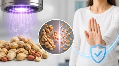 Fıstık alerjisine bilimden umut!