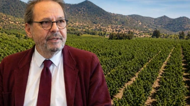 Balsu'dan Şili'de fındık tesisi açıklaması