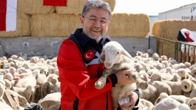 Bakan Yumaklı: Kırsalda bereket projesi ile küçükbaşa yıllık 180 bin TL destek