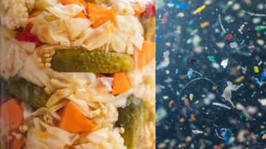 Mikroplastiklere karşı turşu kalkanı mı? Yeni araştırma umut verdi