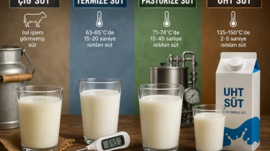 Peynir etiketinde yeni süt çeşidi; Termize süt.. Termize süt nedir?