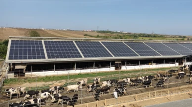 Tarım tesislerindeki GES'ler için yeni düzenleme: Gece elektriğine ödeme dönemi