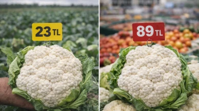 Karnabahar tarlada 23 lira markette 89 lira; Fark yüzde 275