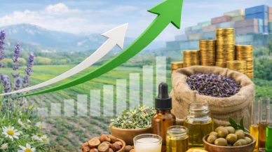 Yerel kalkınma hamlesi nedir? 301 milyon TL’ye kadar destekle yeni iş fırsatı