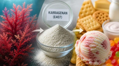 Doğal kıvam artırıcılar sağlıklı mı; Karragenan güvenli mi?