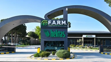 OYAK'tan Hektaş hamlesi: Hisseler neden satılıyor?