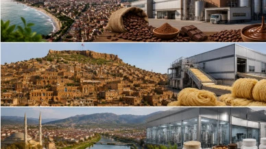 Katma değerli gıdaya teşvik yağdı; Ordu çikolata, Mardin noodle merkezi oluyor!
