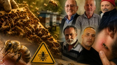 3 ayda arı sokmasından 5 kişi öldü; Arı soktuğunda ne yapmalı?