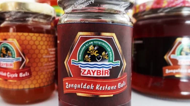 Türkiye'nin en kaliteli kestane balı olarak gösteriliyor: Zonguldak Kestane Balı tescillendi