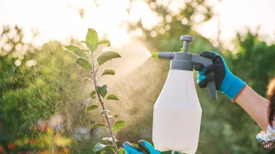 Çocuklukta pestisit maruziyeti ilk adet yaşını değiştirebilir